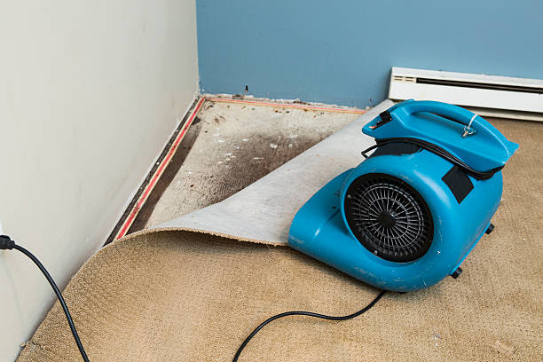 Best Dehumidification and Moisture Control in Bradford, PA